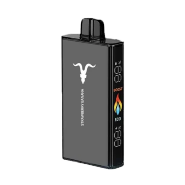 Ignite V250 - Image 7